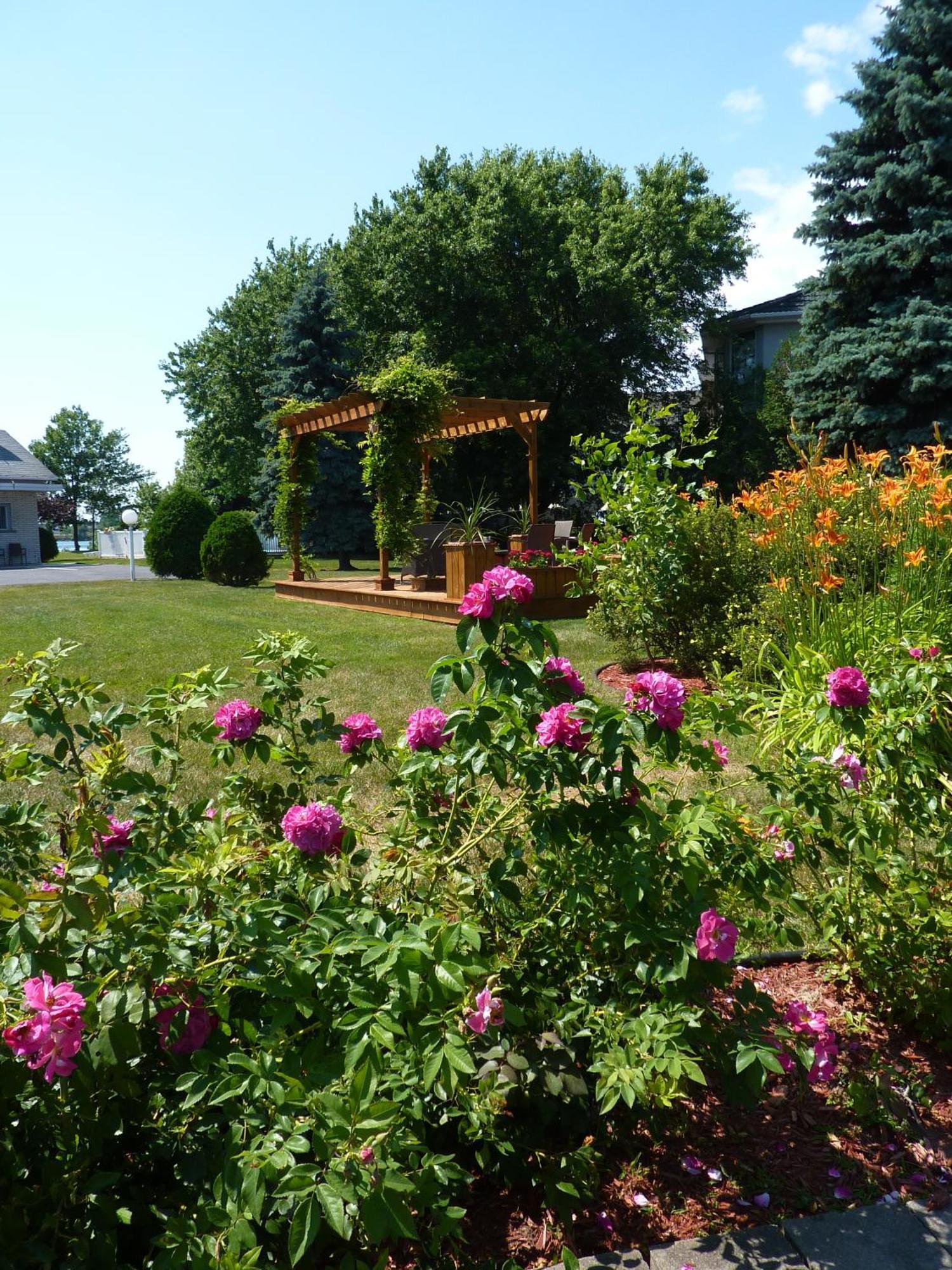 Motel Belle Riviere Saint-Jean-sur-Richelieu Exteriör bild